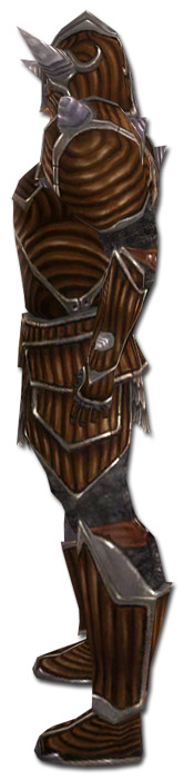 Krieger Wyvernrüstung Männlich seite.jpg