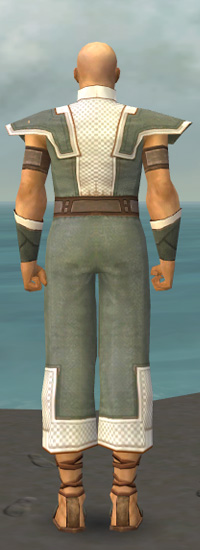 Mönch Kryta-Rüstung Männlich hinten.jpg