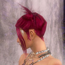 Datei:Nekromant Sonnenspeer-Rüstung Weiblich kopf hinten.jpg