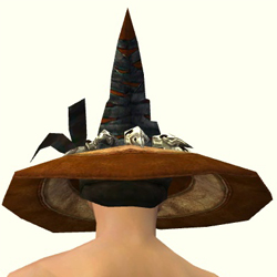 Witch Hat männlich hinten.jpg