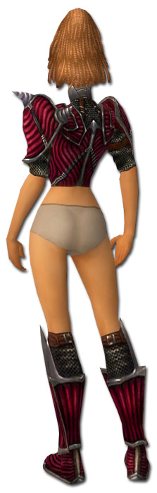 Krieger Wyvernrüstung Weiblich brust schuh hinten.jpg