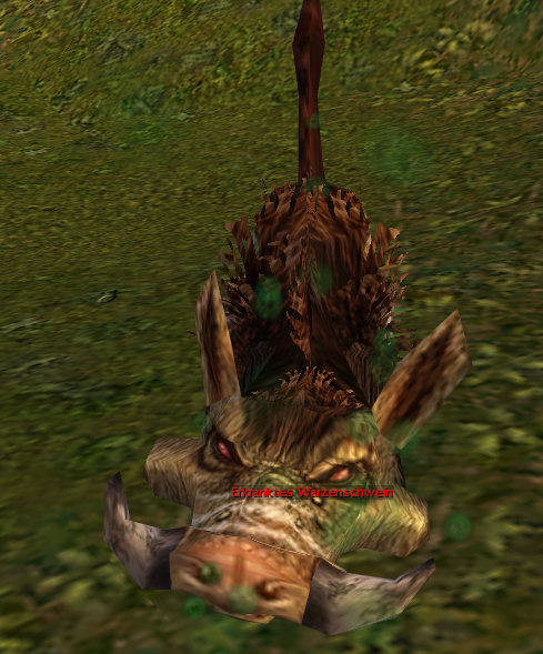 Datei:Erkranktes Warzenschwein.jpg