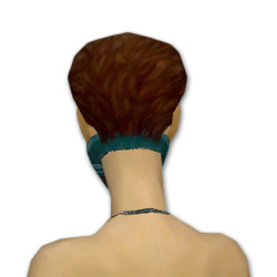 Datei:Assassine Elite-Cantha-Rüstung Weiblich kopf hinten.jpg