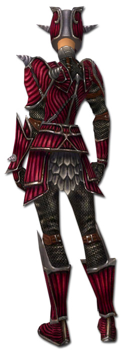 Krieger Wyvernrüstung Weiblich hinten.jpg