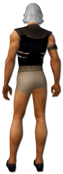 Derwisch Altehrwürdige Rüstung Männlich brust schuh hinten.jpg