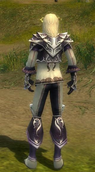 Elementarmagier Deldrimor-Rüstung Männlich hinten.jpg