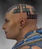 Mönch Luxon-Rüstung Männlich kopf seite.jpg