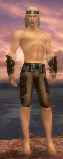 Waldläufer Obsidian-Rüstung Männlich hand bein vorne.jpg