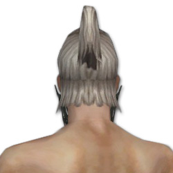 Waldläufer Jäger-Maske Männlich hinten.jpg