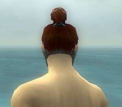 Datei:Assassine Elite-Cantha-Rüstung Männlich kopf hinten.jpg