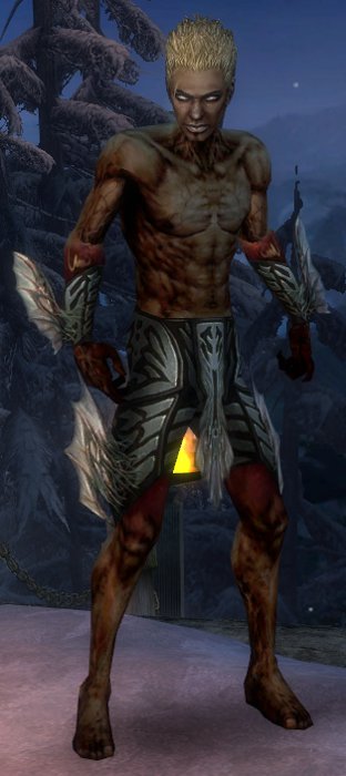 Nekromant Altehrwürdige Rüstung Männlich hand bein vorne.jpg