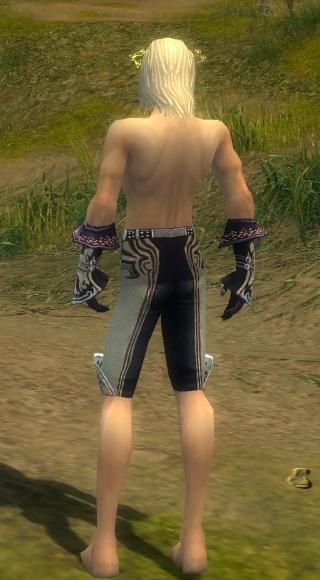 Elementarmagier Deldrimor-Rüstung Männlich hand bein hinten.jpg