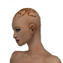 Mönch Istan-Rüstung Weiblich kopf seite.jpg