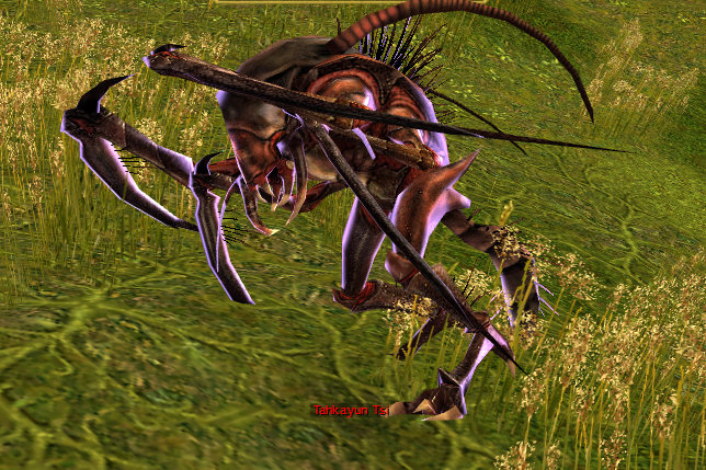 Datei:Tahkayun Tsi.jpg