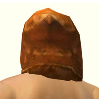 Wrath Hat männlich hinten.jpg