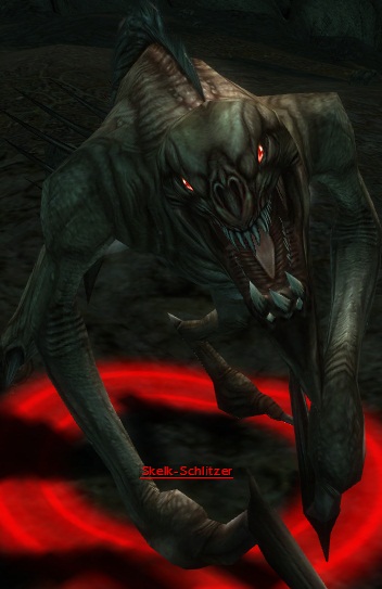Datei:Skelk-Schlitzer.jpg