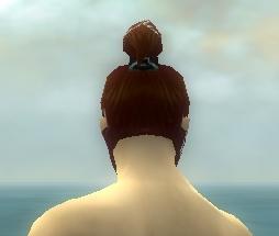 Datei:Assassine Monument-Rüstung Männlich kopf hinten.jpg