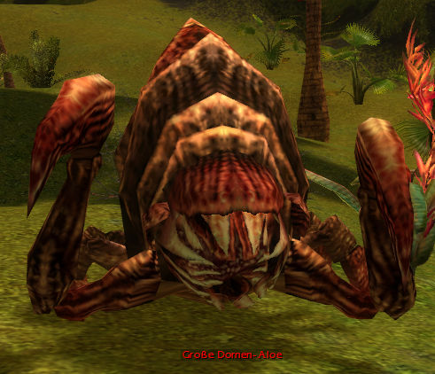 Datei:Große Dornen-Aloe.jpg