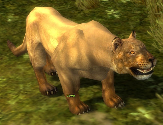 Datei:Löwin (Sammler).jpg