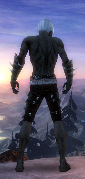 Nekromant Norn-Rüstung Männlich hand bein hinten.jpg