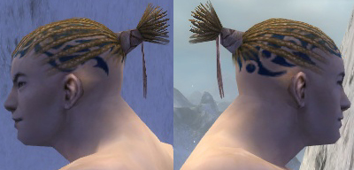 Mönch Elite-Kurzick-Rüstung Männlich kopf seite.jpg