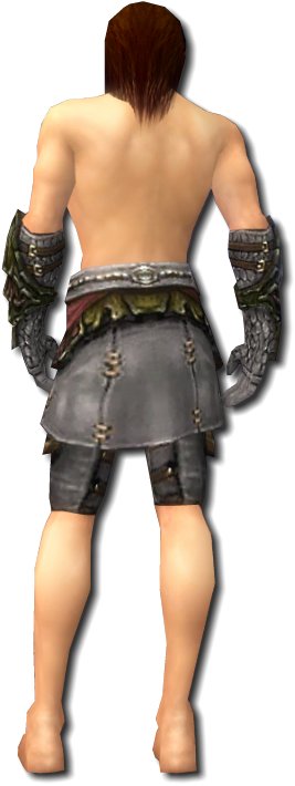 Waldläufer Elite-Luxon-Rüstung Männlich hand bein hinten.jpg