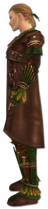 Waldläufer Druiden-Rüstung Männlich seite.jpg