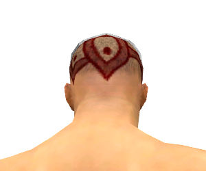 Mönch Elite-Luxon-Rüstung Männlich kopf hinten.jpg