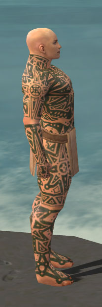 Mönch Sternen-Rüstung Männlich seite.jpg