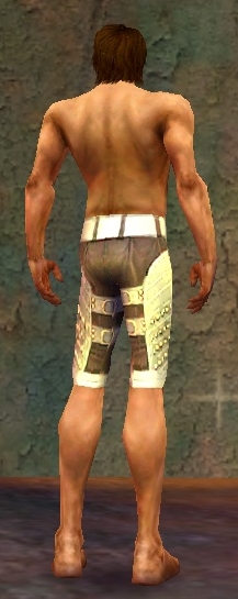 Mesmer Deldrimor-Rüstung Männlich hand bein hinten.jpg