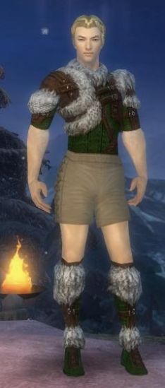 Waldläufer Elite-Pelzverbrämte-Rüstung Männlich brust schuh vorne.jpg