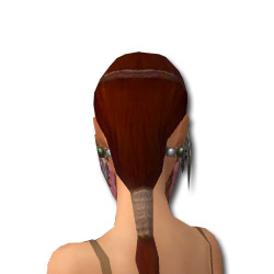 Datei:Waldläufer Luxon-Rüstung Weiblich kopf hinten.jpg