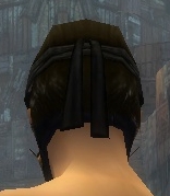 Datei:Assassine Elite-Kurzick-Rüstung Männlich kopf hinten.jpg