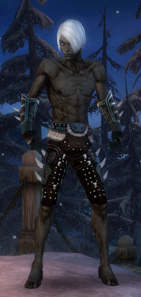 Nekromant Norn-Rüstung Männlich hand bein vorne.jpg