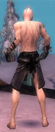 Nekromant Obsidian-Rüstung Männlich hand bein hinten.jpg