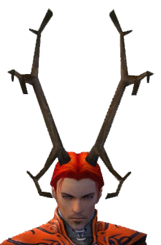 Datei:Hörner von Grenth Männlich vorne.jpg