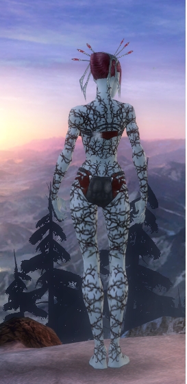 Nekromant Elite-Narbenmuster-Rüstung Weiblich hinten.jpg