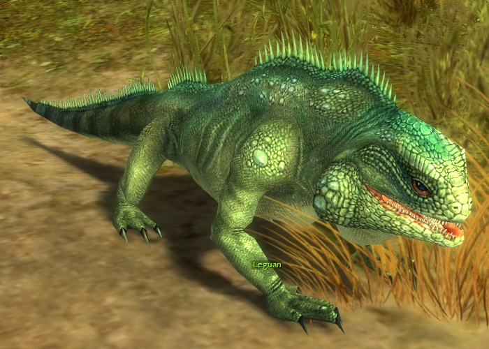 Datei:Leguan (Sammler).jpg