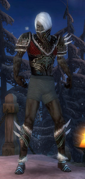 Nekromant Norn-Rüstung Männlich brust schuh vorne.jpg