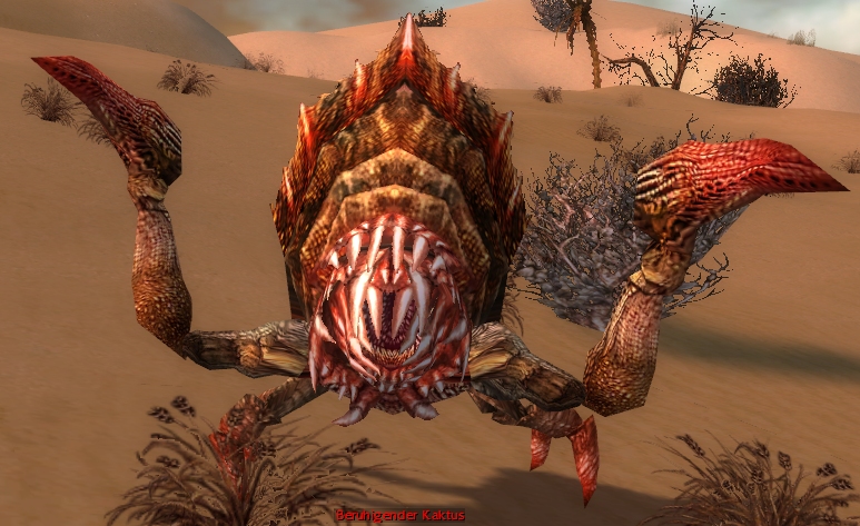 Datei:Beruhigender Kaktus.jpg