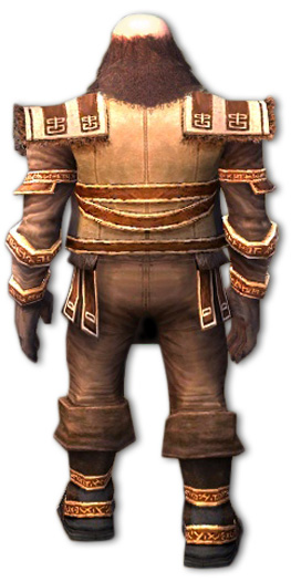 Ogden Steinheiler Bruderschafts-Rüstung hinten.jpg