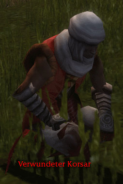 Datei:Verwundeter Korsar.jpg
