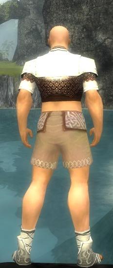 Mönch Deldrimor-Rüstung Männlich brust schuh hinten.jpg