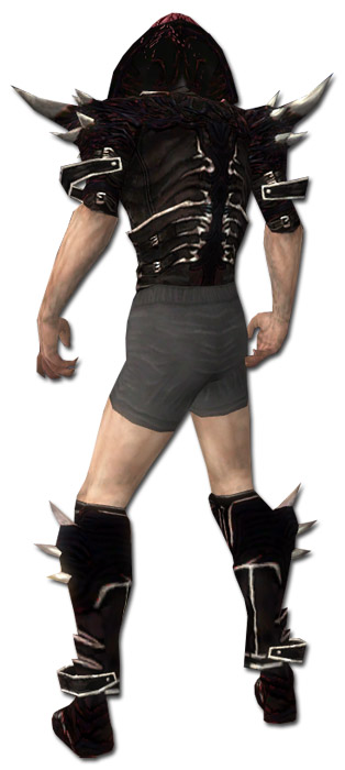 Nekromant Elite-Luxon-Rüstung Männlich brust schuh hinten.jpg