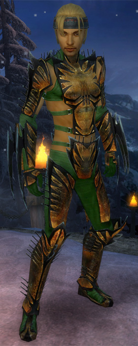 Assassine Elite-Exoten-Rüstung Männlich vorne gefärbt.jpg