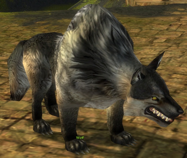 Datei:Wolf (Sammler).jpg