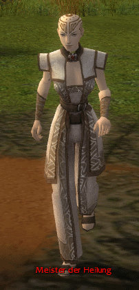 Datei:Meister der Heilung.jpg