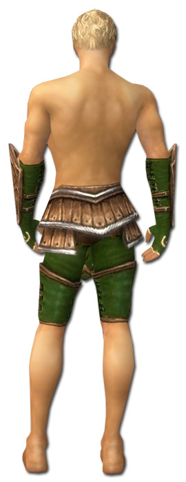 Waldläufer Shing Jea-Rüstung Männlich hand bein hinten.jpg