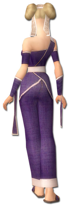 Mönch Ascalon-Rüstung Weiblich hinten.jpg