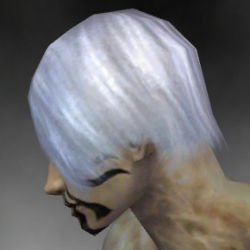 Nekromant Luxon-Rüstung Männlich kopf seite.jpg